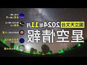 11月25日 星座
